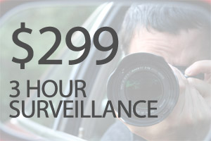 $299 Chicago Surveillance Special